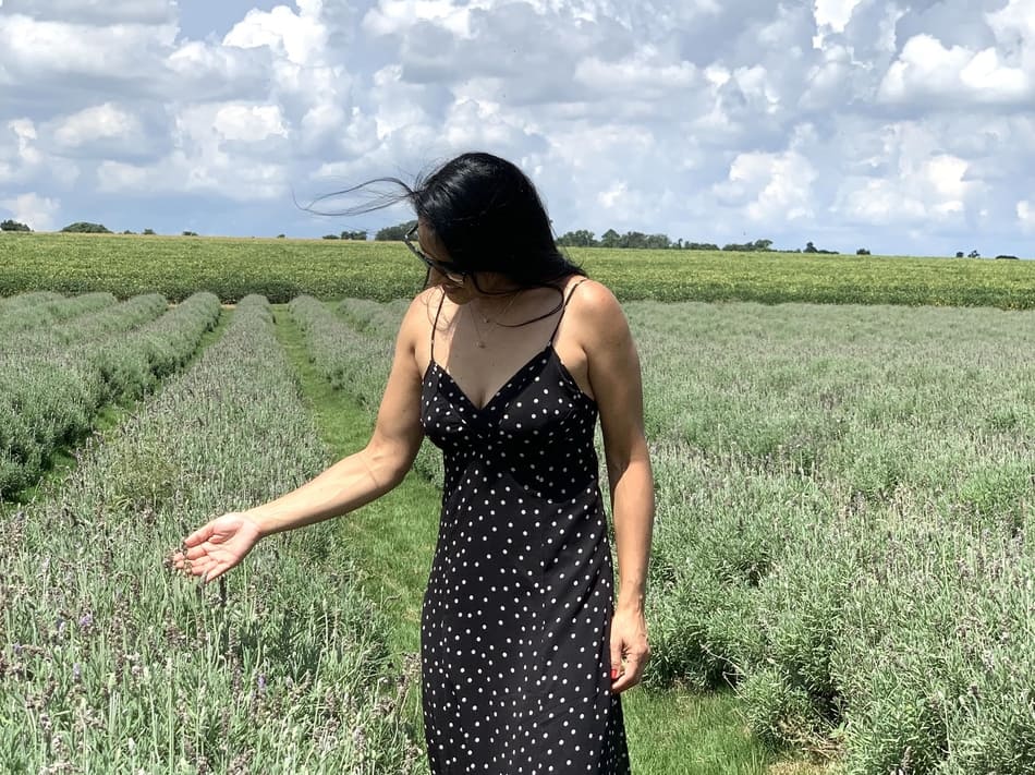 Lavandário do Macena Flores, em Holambra
