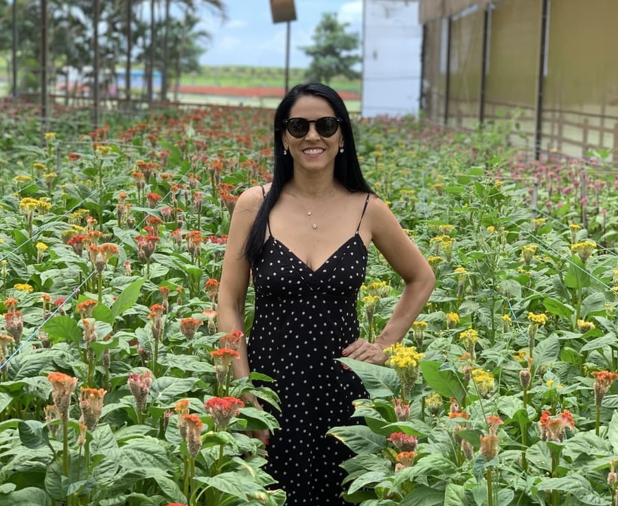 Tour guiado na estufa do Macena Flores