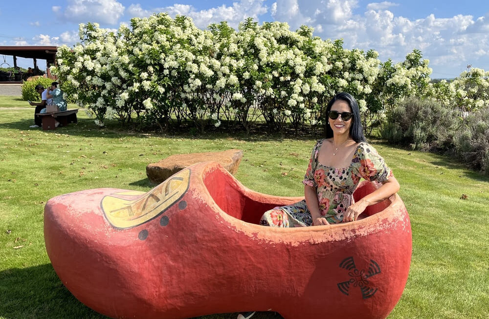 Holambra (SP): o que fazer na Cidade Nacional das Flores