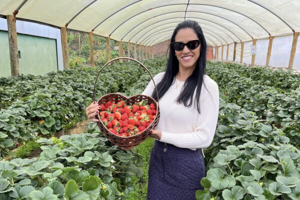 O que fazer nas Montanhas Capixabas, onde ficar e passeios