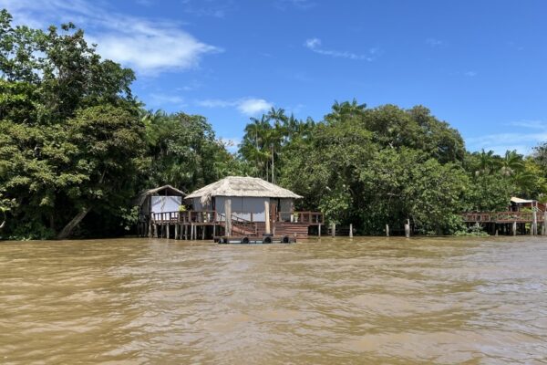 O que fazer na Ilha do Combu (PA), onde se hospedar e passeios